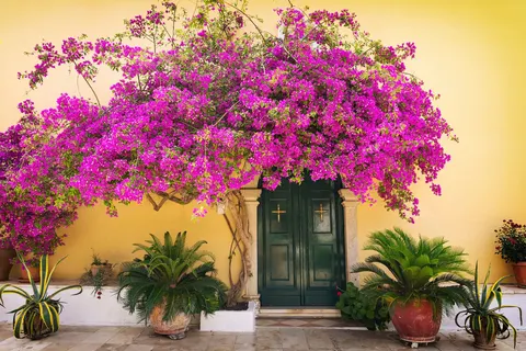 Ontdek Corfu vanuit Kommeno foto 8