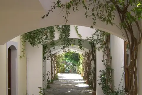 Okaliptus Otel in Bodrum — foto 6