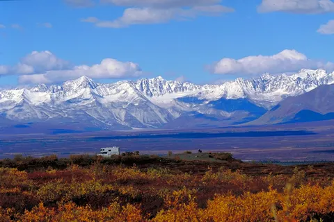 Ontdek Alaska foto 16