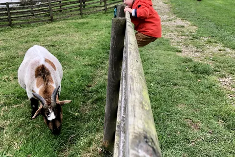 Camping Domaine De Litteau foto 20