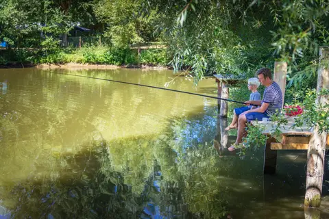 Domaine De L Etang in Brissac-Loire-Aubance — foto 9