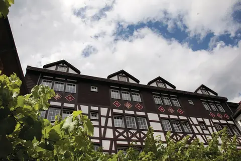 Hotel Felsenkeller in Rüdesheim am Rhein — foto 9
