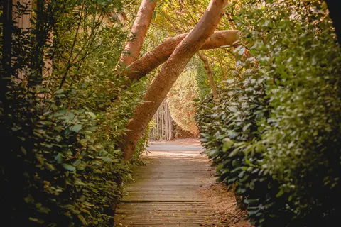 Camping Collection Rivages Le Phare foto 12