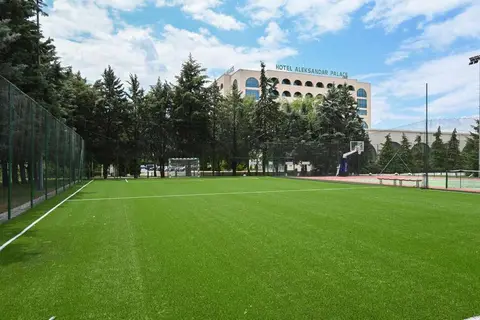 Aleksandar Palace in Cкoпje — foto 14