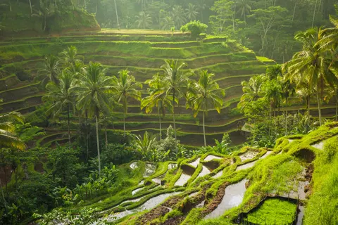 Rondreis Veelzijdig Java & Bali foto 20