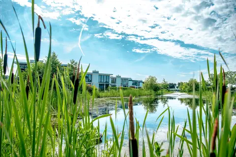 Bad Hulckesteijn in Nijkerk — foto 18