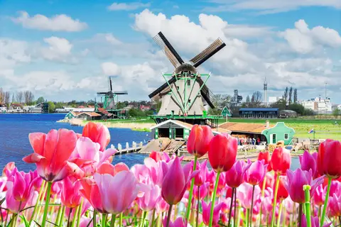 Friesland en Noord-Holland vanaf Rotterdam in Westerveld, foto 26
