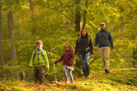 Hotel Birkenhof (Bad Soden-Salmünster) foto 30
