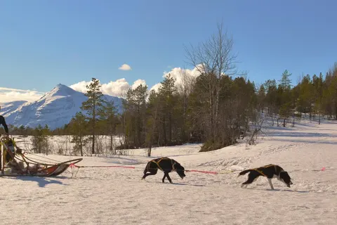5-daags Winteravontuur Malangen foto 13