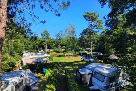 Camping Horstmannsbos foto 8