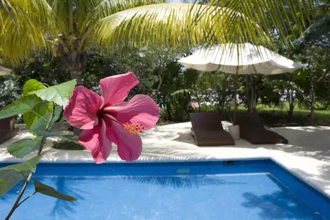 Sotavento Hotel & Yacht Club in Cancùn — foto 11
