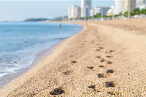 Planamar in Castell d'Aro, Platja d'Aro i s'Agaró — foto 23