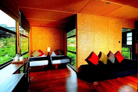 Rainforest Eco Lodge in Rainforest Ecolodge — foto 3