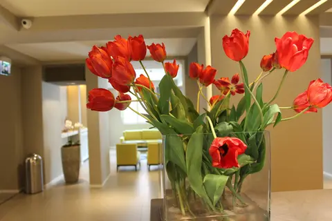 Airone City Hotel in Catania — foto 9