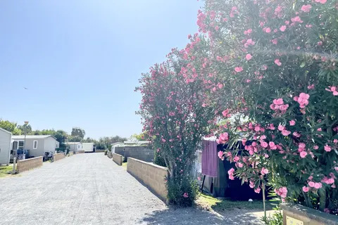 Camping La Sirena foto 12