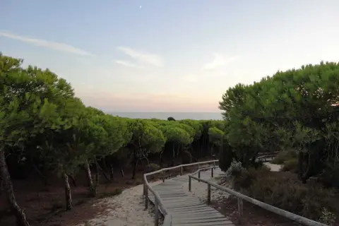 Leo Punta Umbria in Punta Umbría, foto 18
