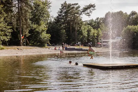 De Baalse Hei in Turnhout — foto 17