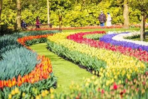 ibis Styles Den Haag Scheveningen foto 22