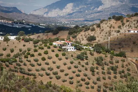 Casa Alora in Álora — foto 12