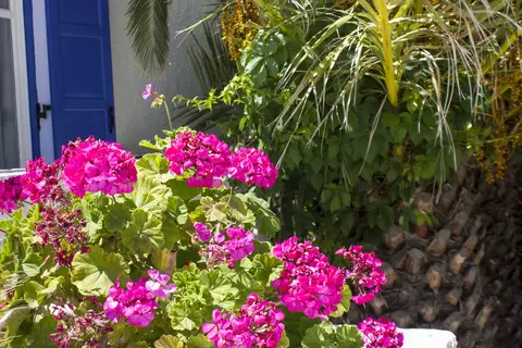 Naxos Holidays Hotel in Naxos — foto 12