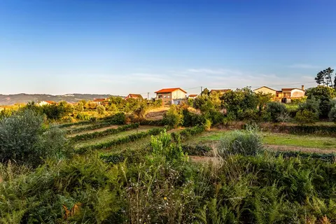 8 daagse fly drive Authentiek Portugal foto 3