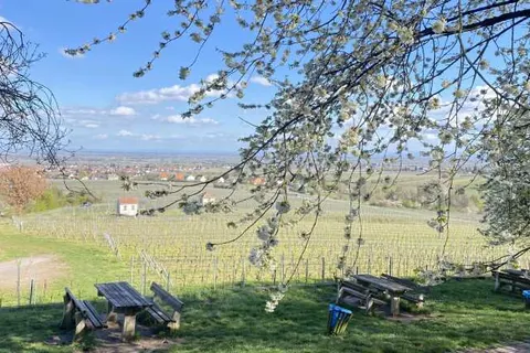 Gutshof Ziegelhütte foto 19