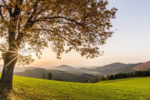 Sauerland Alpin Hotel foto 39