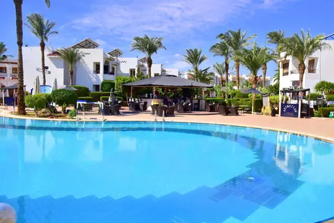 Dive Inn in Sharm El Sheikh — foto 3