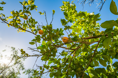 Xarc Agroturisme foto 24