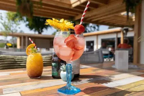 Hotel De Boshoek in Voorthuizen — foto 35