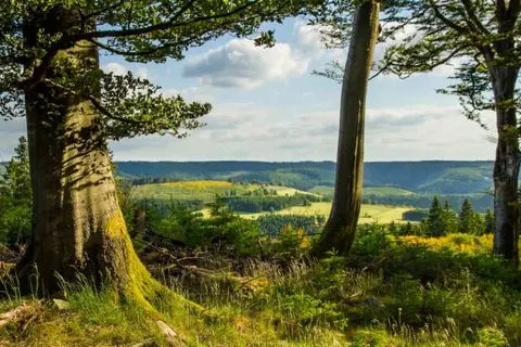 Haus Delecke foto 21