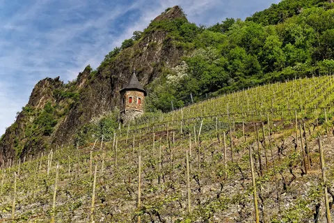 Ontdek de Rijn vanuit Bad Honnef foto 18