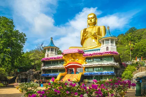 Rondreis Hoogtepunten van Sri Lanka in Rondreizen Sri Lanka — foto 21