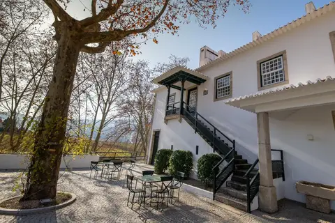 Quinta da Pacheca in Lamego, foto 30