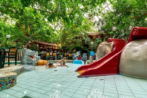 Center Parcs De Vossemeren foto 9