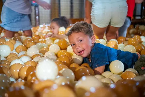 Familie Resort Molenwaard foto 7