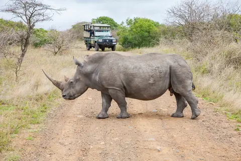 Pragtig Suid-Afrika in Complete rondreis Zuid-Afrika — foto 7