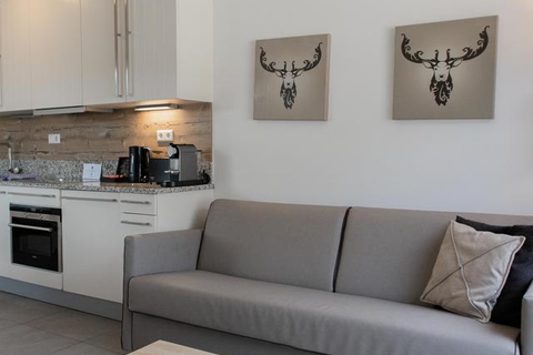 Ski & Golf Suites Zell am See foto 17