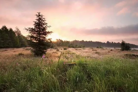 Vakantiepark De Toffe Peer foto 19