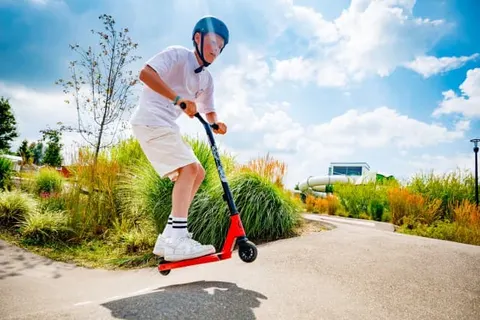 Vakantiepark Eiland van Maurik foto 26