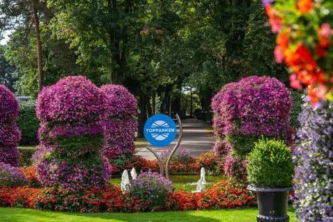 TopParken Landgoed de Scheleberg in Lunteren — foto 28