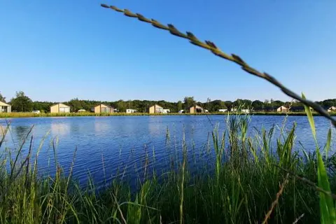 Recreatiepark de Bosrand foto 3