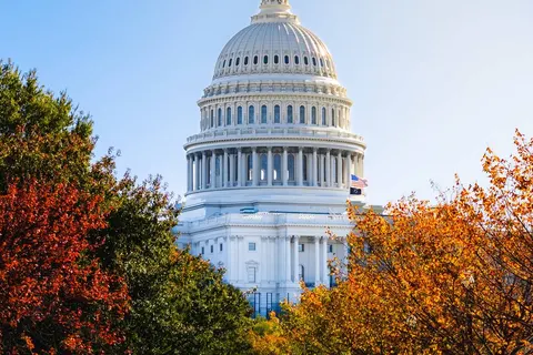 Perfect Match Northeast America & Iceland foto 4