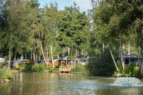 Camping Zavelbos foto 12