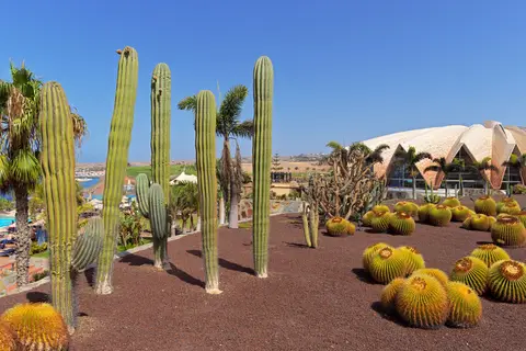 H10 Playa Meloneras Horizons Collection, Gran Canaria in Las Palmas de Gran Canaria — foto 29