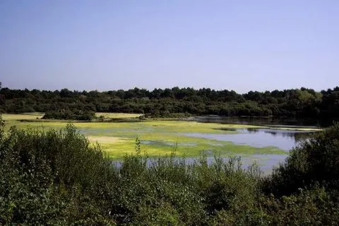 &ampapos;t Wapen van Marion foto 32