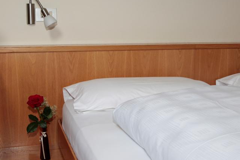 Hotel Alpino Plan foto 6