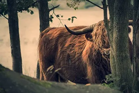 Bed and Breakfast De Beddestee foto 13