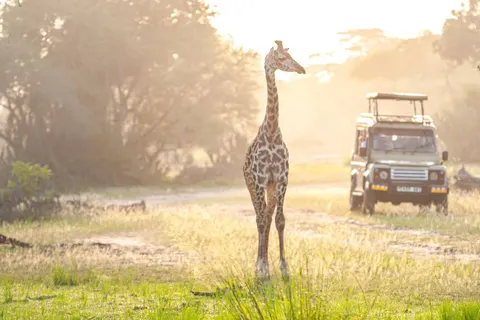 A Wildlife Adventure in South Africa foto 1