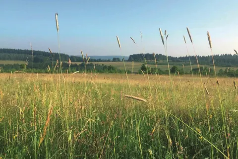 Der Schöne Asten Resort Winterberg foto 2